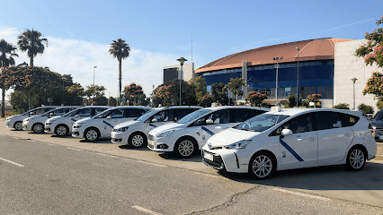 Tú Taxi en Málaga